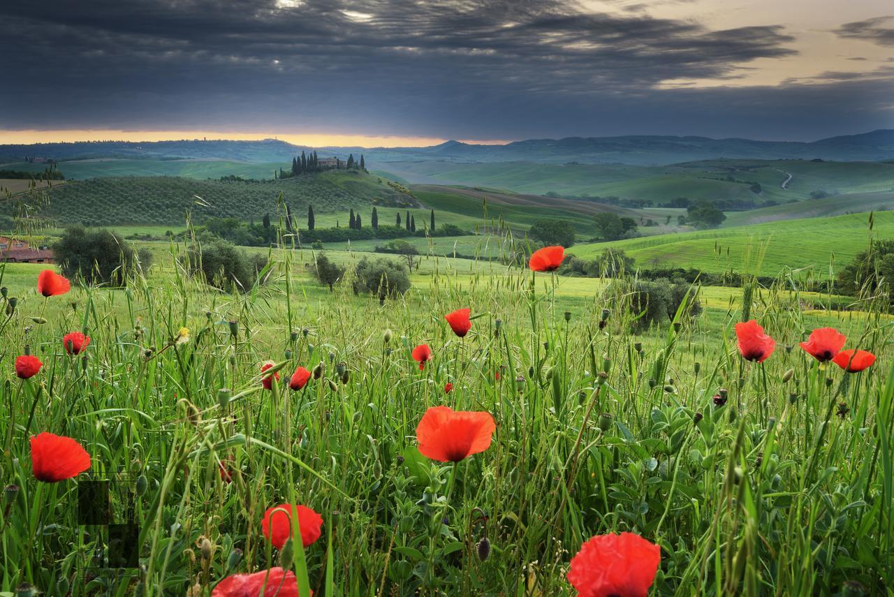 La Bellavita B&B Pienza Dış mekan fotoğraf