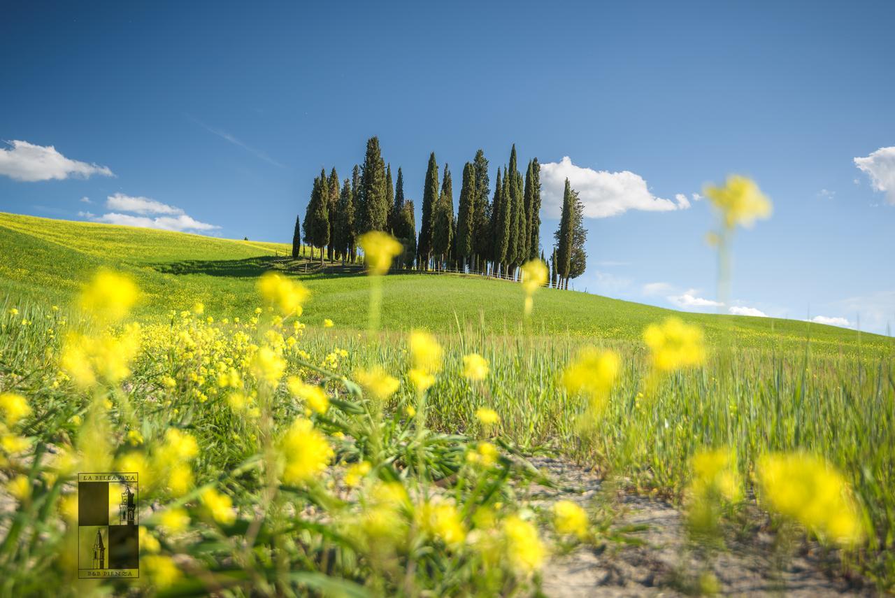 La Bellavita B&B Pienza Dış mekan fotoğraf